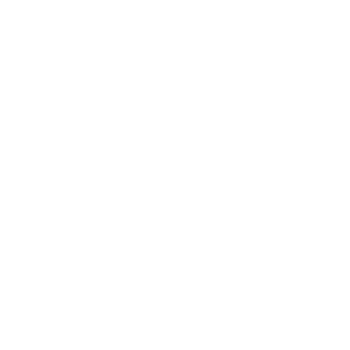 CCTV Systems