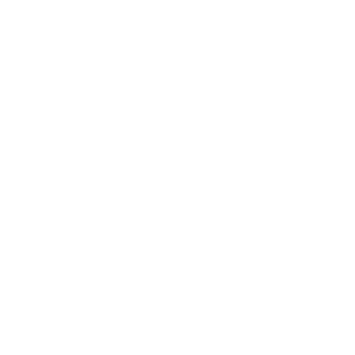 Odoo ERP Services